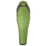Wheatgrass/Crocodile