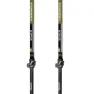 Masters Eiger Stavar