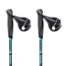 Masters Nordic Walking Stavar, Black / turquoise, 77-135cm
