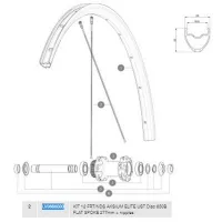 Mavic Aksium Elite Ust Disc 650b Vänstra Ekrar 12 Enheter Mavic Aksium Elite Ust Disc 650b Vänstra Ekrar 12 Enheter