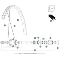 Mavic Allroad Elite Ust Ub 2018 Bakre Vänster Ekrar 12 Enheter Mavic Allroad Elite Ust Ub 2018 Bakre Vänster Ekrar 12 Enheter