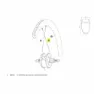 Mavic Cosmic Pro Carbon Ust Ubm Rear Right Eker 16 Enheter, Black, 228mm