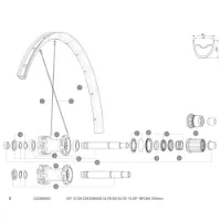 Mavic Crossmax Elite/xa Elite 29 Bakre Högra Ekrar 12 Enheter