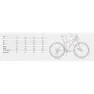 Megamo Natural 40 29´´ 2021 Mtb Cykel, Orange, M