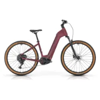 Megamo Reach Low 10 29´´ Cues 2025 Elcykel Megamo Reach Low 10 29´´ Cues 2025 Elcykel