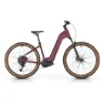 Megamo Reach Low 10 29´´ Cues 2025 Elcykel