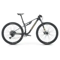 Megamo Track R100 10 29´´ Sx Eagle 2025 Mtb Cykel