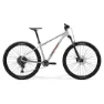 Merida Big Nine 200 29´´ Cues U6000 2026 Mtb Cykel