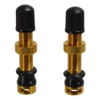 Miles Wide Schrader Tubeless Ventiler