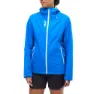 Icon blue