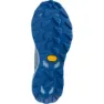 Mizuno Wave Daichi 8 Gtx Trailskor female