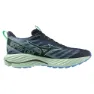 Mizuno Wave Rider Goretex 2 Löparskor male