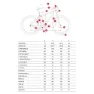 MMR Woki 30 29´´ Deore M6100 2025 Mtb Cykel