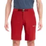 Montane Dynamic Lite Shorts