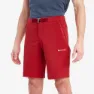 Montane Dynamic Lite Shorts