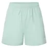 Montane Jetstream 4in Shorts