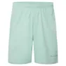 Montane Jetstream 7in Shorts