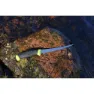 Morakniv Companion Fishing Fillet 155 Kniv, Lime green, One Size