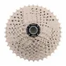 MSC BIKES 2 Spider Kassett