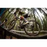 MSC BIKES Roller Tubeless 29´´ X 2.10 Mtb-däck, Clear, 29" x 2.10
