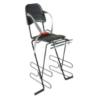 MVtek Classic Rigid Barnstol På Baksidan Av Cykeln MVtek Classic Rigid Barnstol På Baksidan Av Cykeln