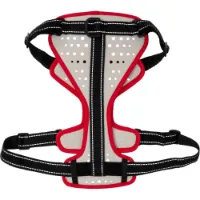 Nathan Reflective Hundsele