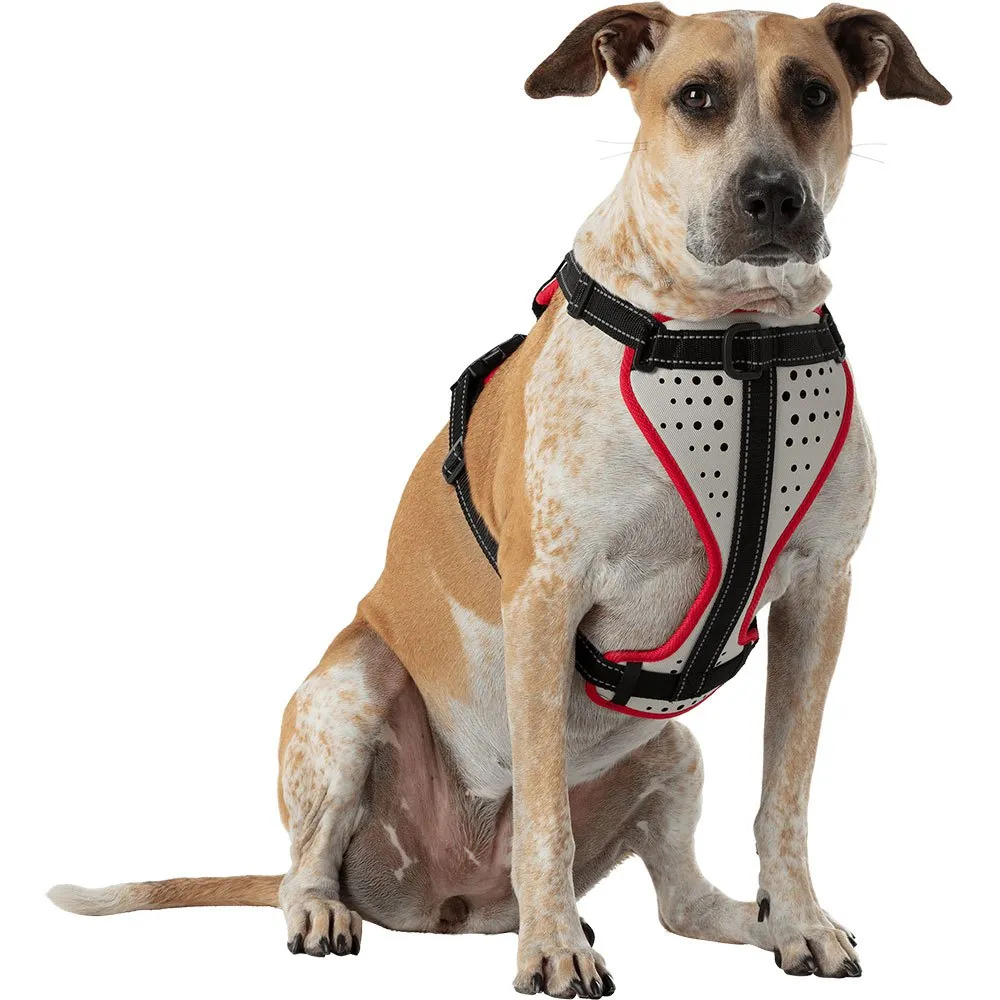 Nathan Reflective Hundsele