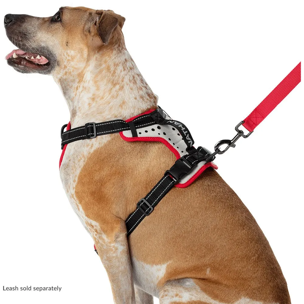 Nathan Reflective Hundsele