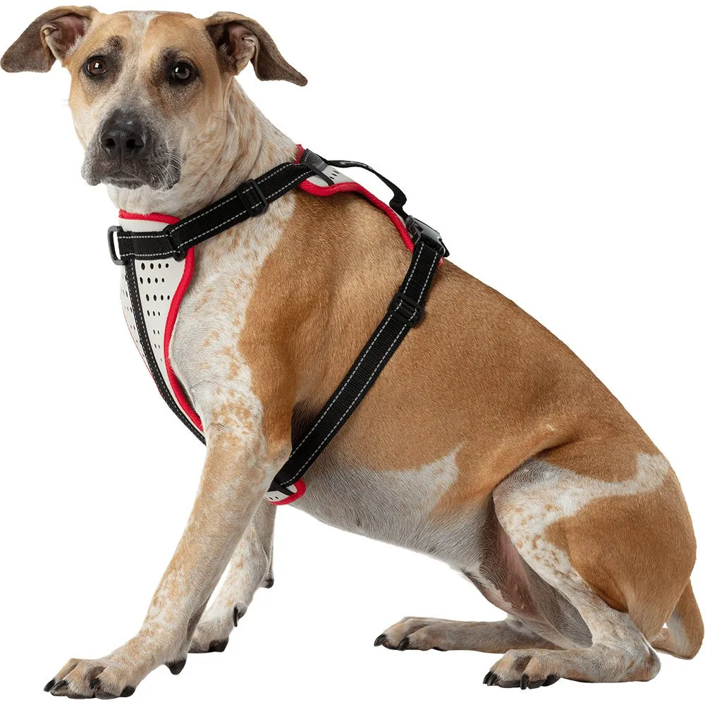 Nathan Reflective Hundsele