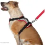 Nathan Reflective Hundsele
