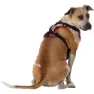 Nathan Reflective Hundsele
