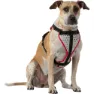 Nathan Reflective Hundsele