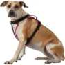 Nathan Reflective Hundsele