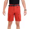 Newwood Honer Shorts