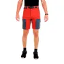 Newwood Horse Shorts
