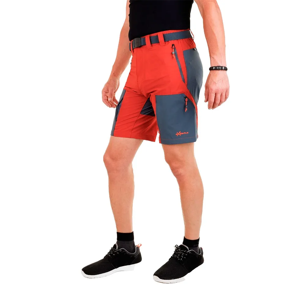 Newwood Horse Shorts