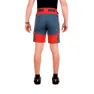 Newwood Horse Shorts
