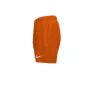 Nike 4´´ Volley Short Simshorts male