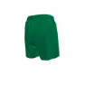 Nike 4´´ Volley Short Simshorts male