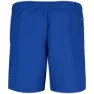 Nike Logo 5´´ Simshorts male