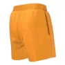 Nike Nessb866 4 Volley Simshorts male