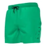 Nike Nessc601 5 Volley Simshorts male, Electric algae