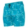 Nike Nessd509 5 Volley Simshorts male, Blue lightning