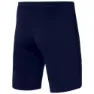 Nike Strike22 Kz Shorts male