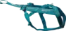 Teal 1