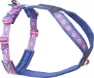 Purple/Pink