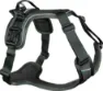 Non-stop Dogwear Ramble Harness