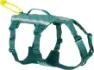 Non-stop Dogwear Ramble Harness Long