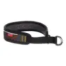 Non-stop Dogwear Rock Collar V2