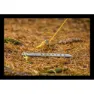 Nordisk V Peg Titan Stake, Silver, 16.5cm